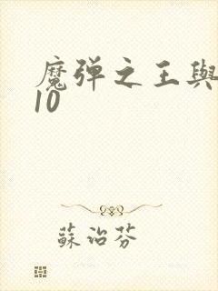 魔弹之王与战姬10