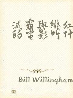 灭霸与绯红女巫的电影叫什么封面