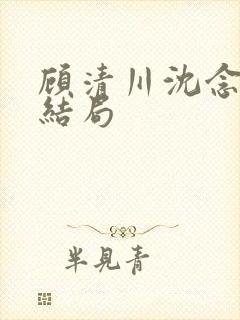 顾清川沈念小说结局