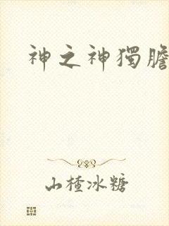 神之神独胆王封面