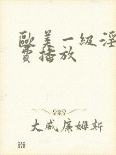 欧美一级淫片免费播放