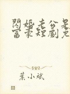 闪婚老公是亿万富豪短剧免费观看封面