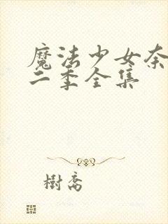 魔法少女奈叶第二季全集