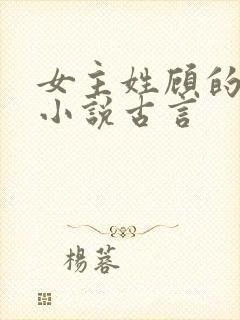 女主姓顾的重生小说古言