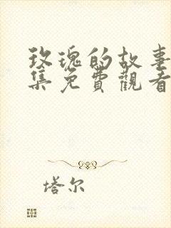 玫瑰的故事40集免费观看封面