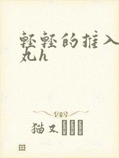 轻轻的推入合欢丸h