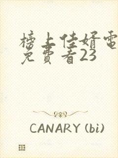 榜上佳婿电视剧免费看23