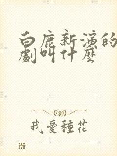 白鹿新演的电视剧叫什么