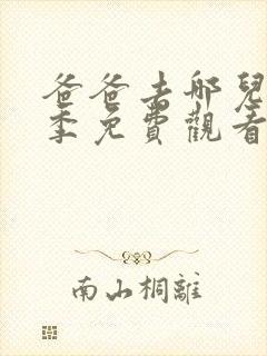 爸爸去哪儿第五季免费观看完整版封面