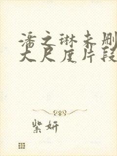 潘之琳未删减版大尺度片段流出封面