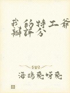 我的特工爷爷豆瓣评分