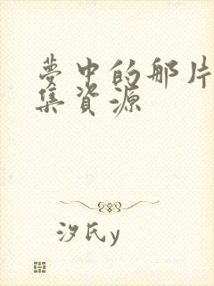 梦中的那片海全集资源