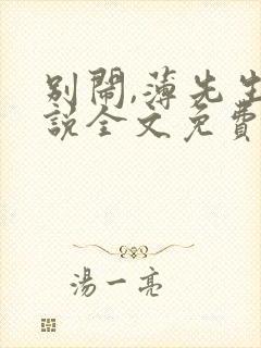 别闹,薄先生小说全文免费阅读