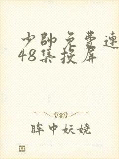 少帅免费连续剧48集投屏