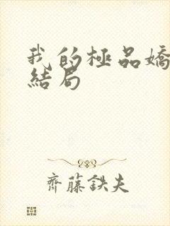 我的极品娇妻大结局