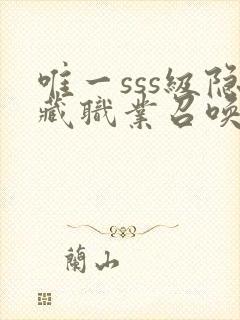 唯一sss级隐藏职业召唤师封面