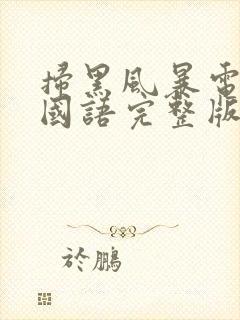 扫黑风暴电视剧国语完整版免费观看