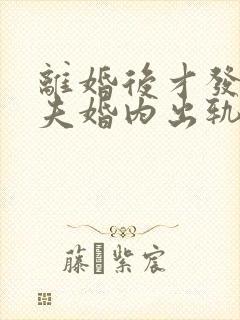 离婚后才发现丈夫婚内出轨