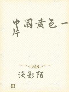 中国黄色一级淫片