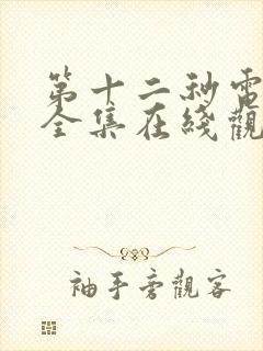 第十二秒电视剧全集在线观看免费