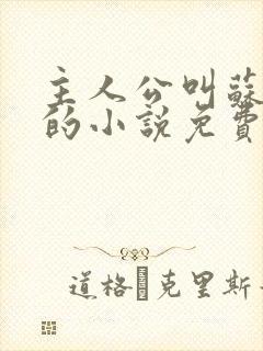 主人公叫苏十二的小说免费阅读