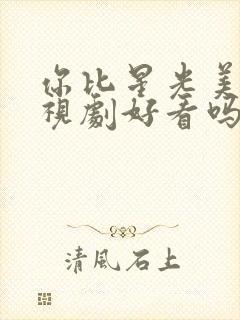 你比星光美丽电视剧好看吗