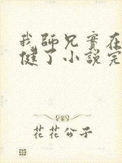 我师兄实在太稳健了小说完结版