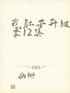 我肚子升级第二季12集