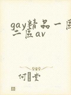 gay精品一区二区av