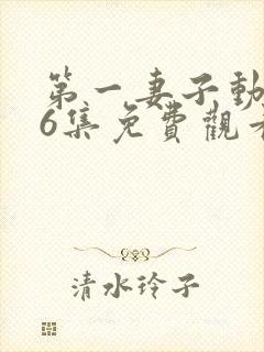 第一妻子动漫第6集免费观看