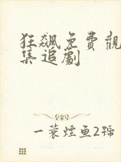 狂飙免费观看全集追剧