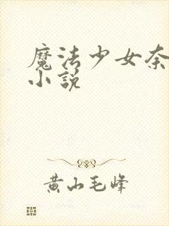 魔法少女奈叶 小说