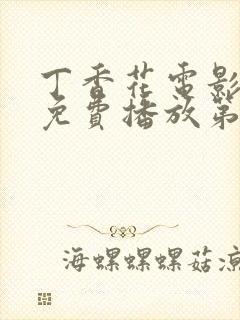 丁香花电影高清免费播放第7季封面