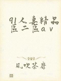 91人妻精品一区二区aⅴ