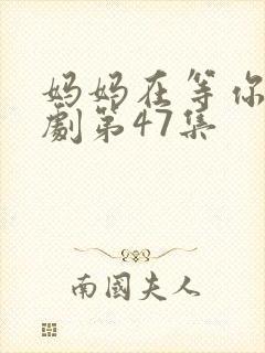 妈妈在等你电视剧第47集