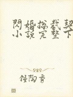 闪婚总裁契约妻小说完整下载