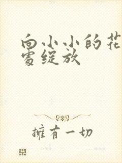 向小小的花蕾深处绽放