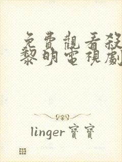 免费观看杀出个黎明电视剧