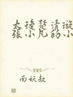 太后楚清璇太监张小凡的小说