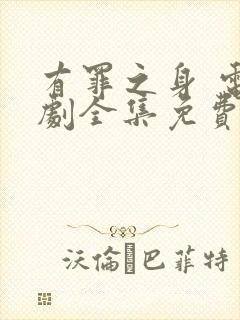 有罪之身 电视剧全集免费观看