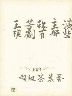 王芳政主演的电视剧有哪些