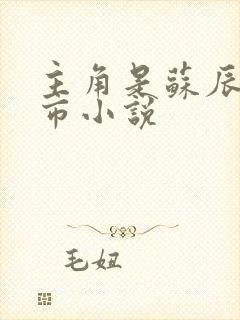 主角是苏辰的都市小说