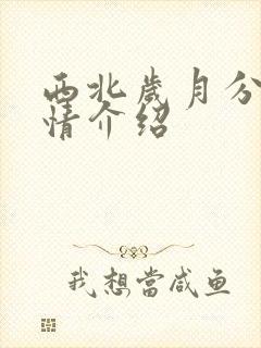 西北岁月分集剧情介绍