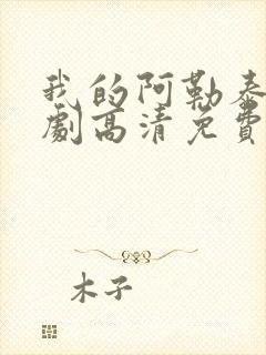 我的阿勒泰电视剧高清免费观看