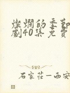 灿烂的季节电视剧40集免费观看高清