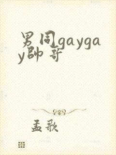 男同gaygay帅哥