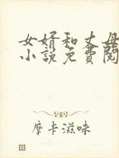 女婿和丈母娘的小说免费阅读