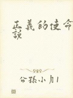 正义的使命 小说