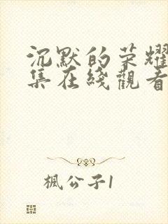 沉默的荣耀36集在线观看