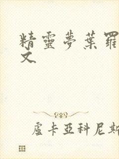 精灵梦叶罗丽h文封面